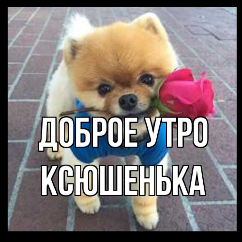 Картинка Доброе утро, Ксюшенька