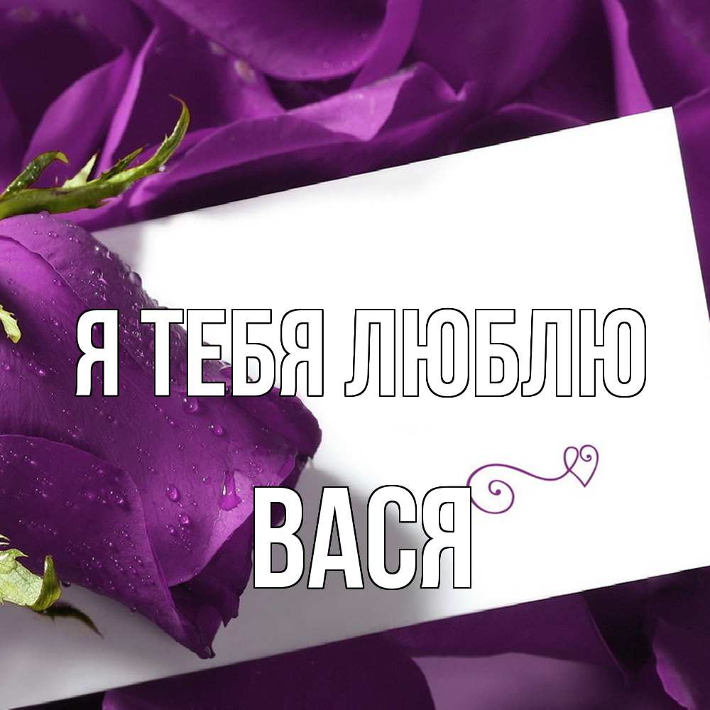 Открытка на каждый день с именем, Вася Я тебя люблю роза Прикольная открытка с пожеланием онлайн скачать бесплатно 