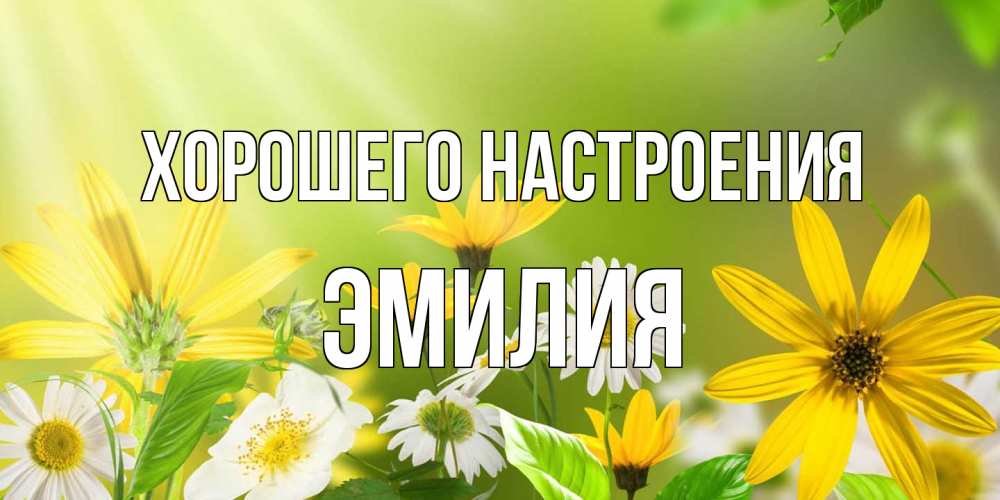 Открытка на каждый день с именем, Эмилия Хорошего настроения цветы Прикольная открытка с пожеланием онлайн скачать бесплатно 