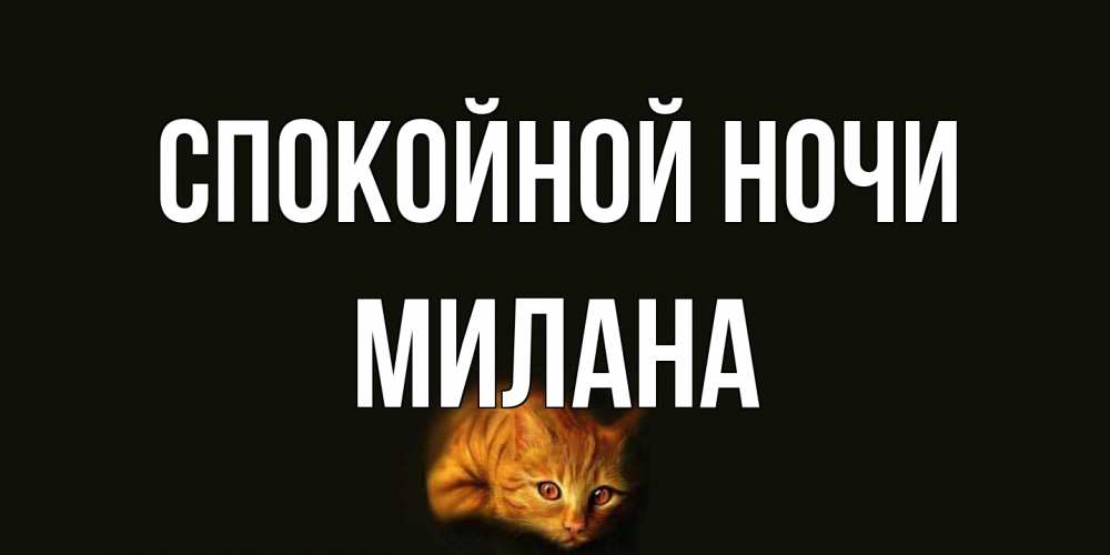 Открытка на каждый день с именем, Милана Спокойной ночи кот Прикольная открытка с пожеланием онлайн скачать бесплатно 
