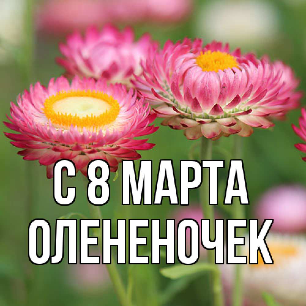 Открытка на каждый день с именем, Олененочек C 8 МАРТА подарок на международный женский день Прикольная открытка с пожеланием онлайн скачать бесплатно 