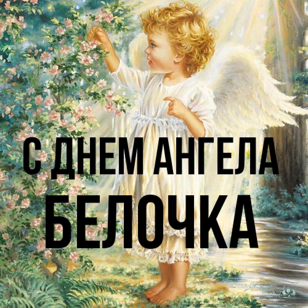 Открытка на каждый день с именем, Белочка С днем ангела собирает цветы Прикольная открытка с пожеланием онлайн скачать бесплатно 