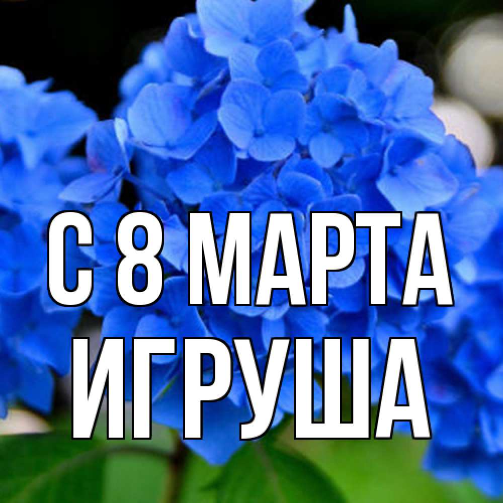 Открытка на каждый день с именем, Игруша C 8 МАРТА синие цветы Прикольная открытка с пожеланием онлайн скачать бесплатно 