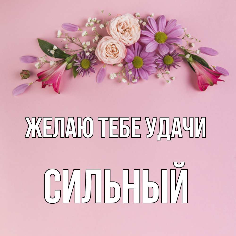 Открытка на каждый день с именем, Сильный Желаю тебе удачи розовый фон Прикольная открытка с пожеланием онлайн скачать бесплатно 