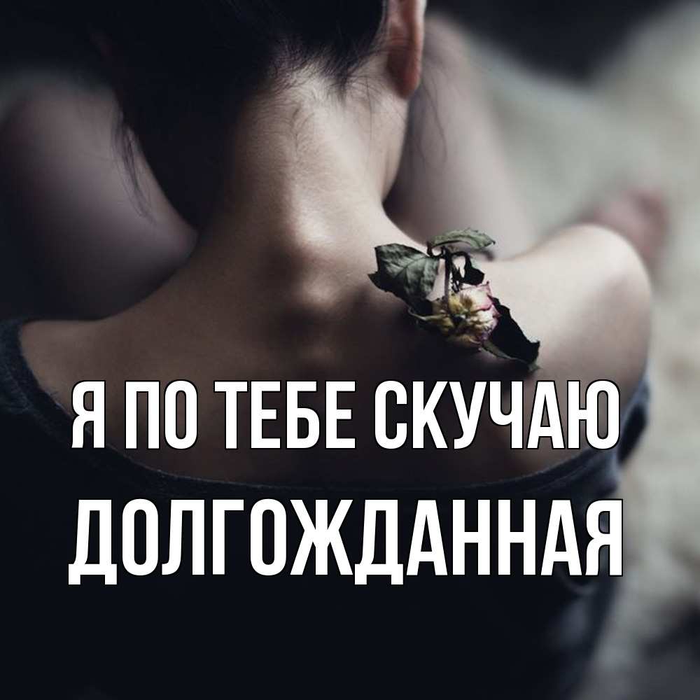 Открытка на каждый день с именем, Долгожданная Я по тебе скучаю засох цветок Прикольная открытка с пожеланием онлайн скачать бесплатно 