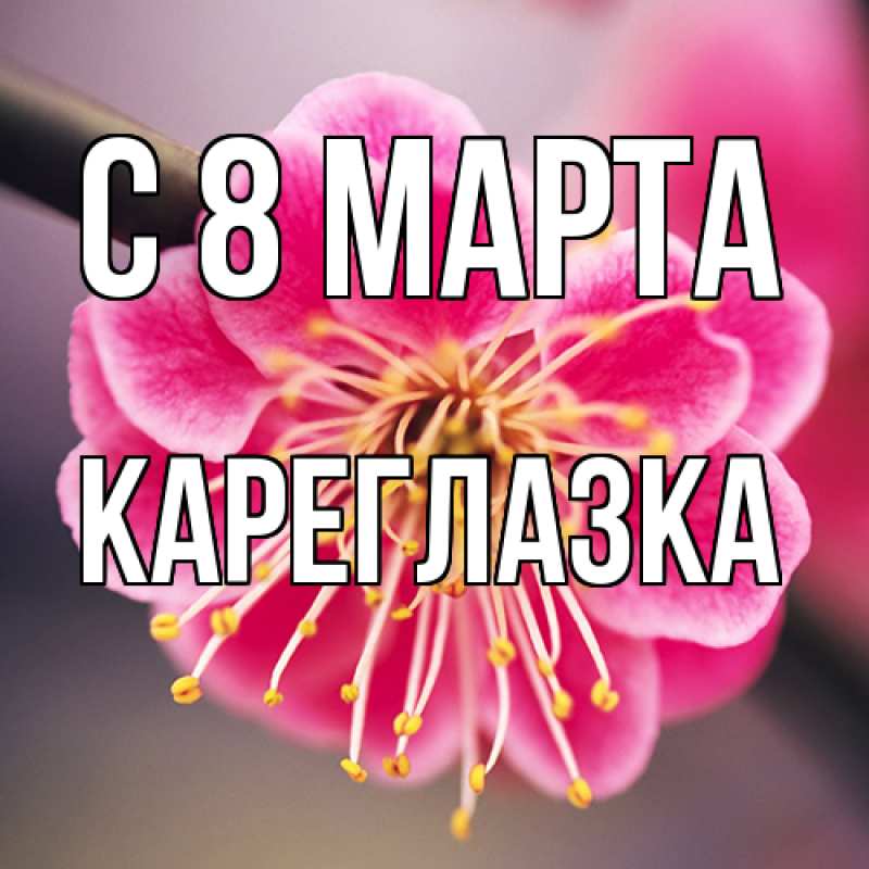 Картинка C 8 МАРТА, кареглазка