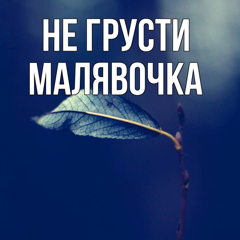 Открытка на каждый день с именем, малявочка Не грусти растение Прикольная открытка с пожеланием онлайн скачать бесплатно 