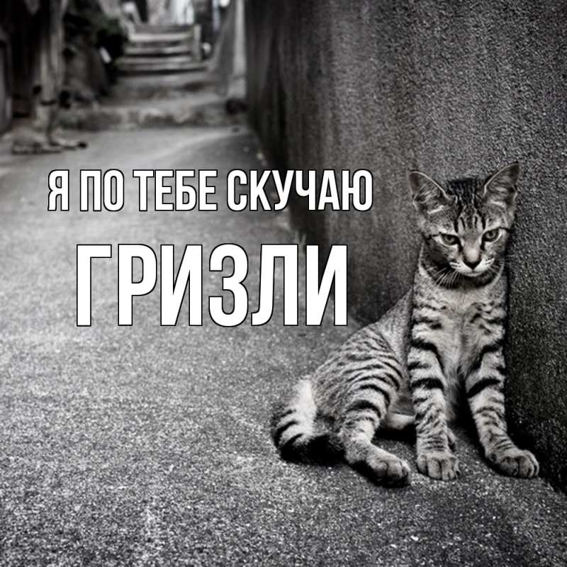 Картинка Я по тебе скучаю, Гризли