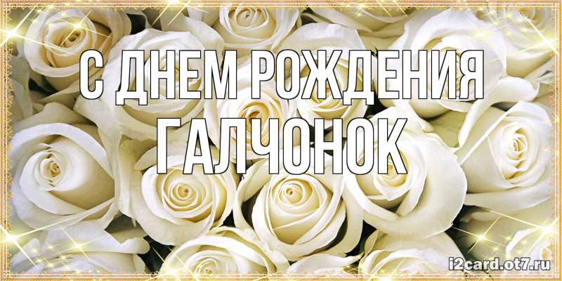 Картинка С днем рождения, галчонок