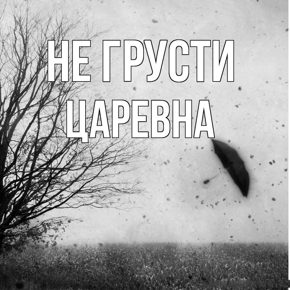 Открытка на каждый день с именем, царевна Не грусти летящий зонтик Прикольная открытка с пожеланием онлайн скачать бесплатно 