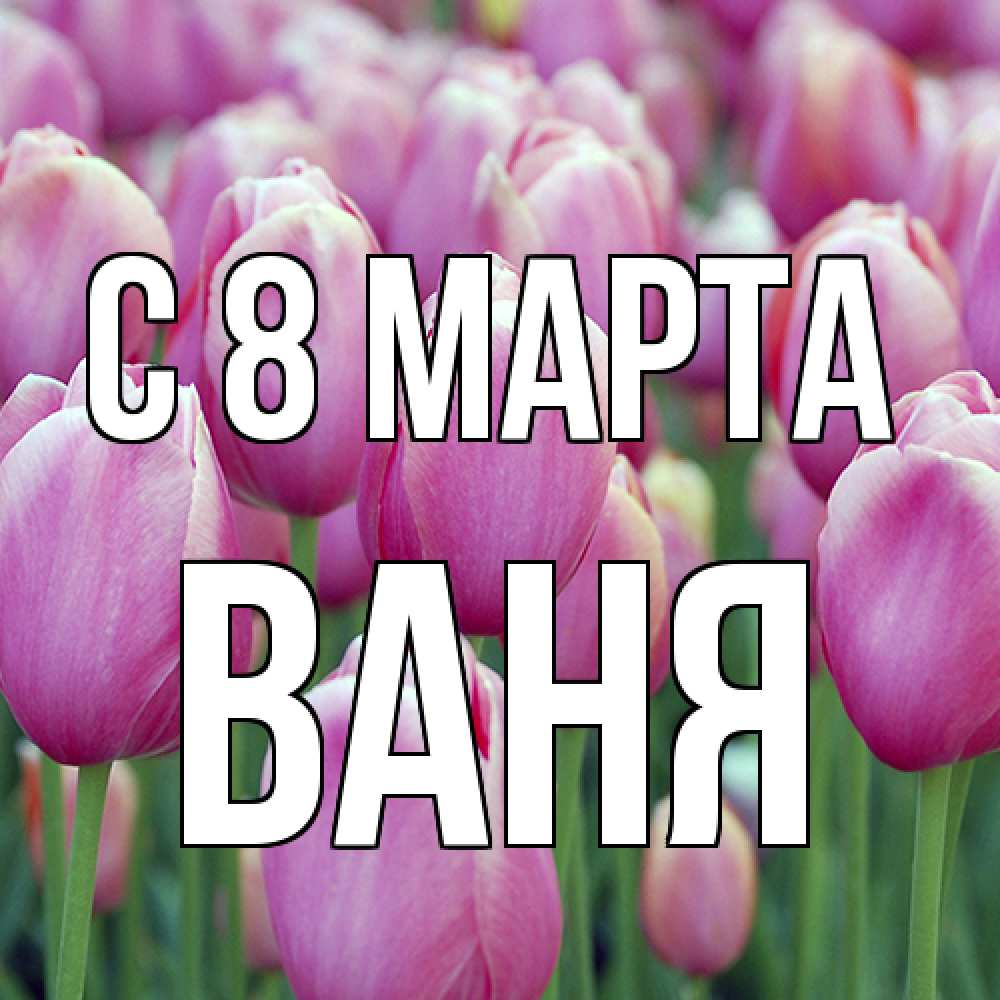 Открытка на каждый день с именем, Ваня C 8 МАРТА на международный женский день 3 Прикольная открытка с пожеланием онлайн скачать бесплатно 