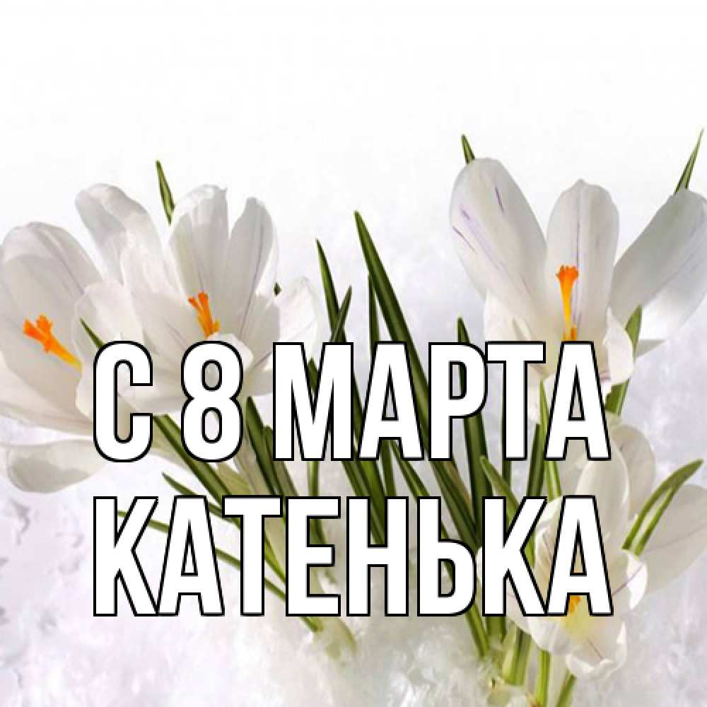 Открытка на каждый день с именем, Катенька C 8 МАРТА под снегом Прикольная открытка с пожеланием онлайн скачать бесплатно 