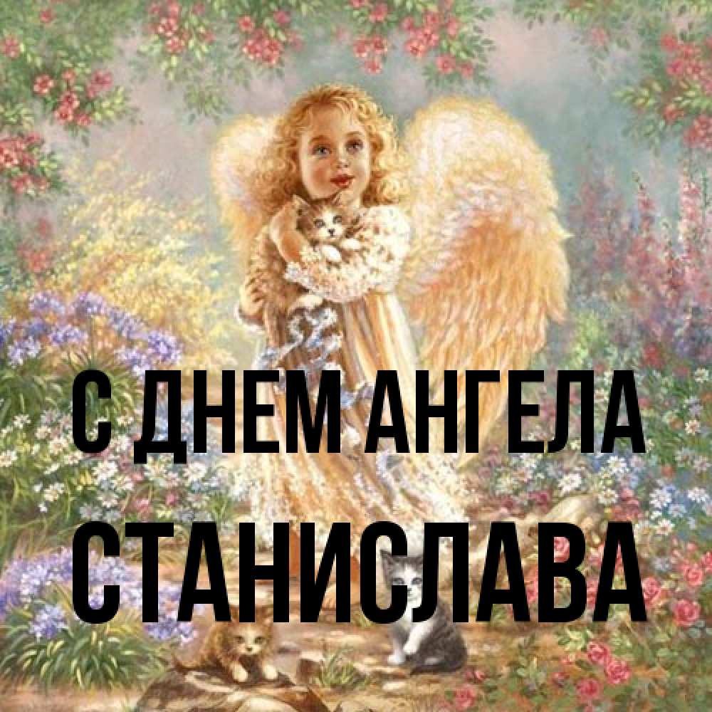 Открытка на каждый день с именем, Станислава С днем ангела держит котенка Прикольная открытка с пожеланием онлайн скачать бесплатно 