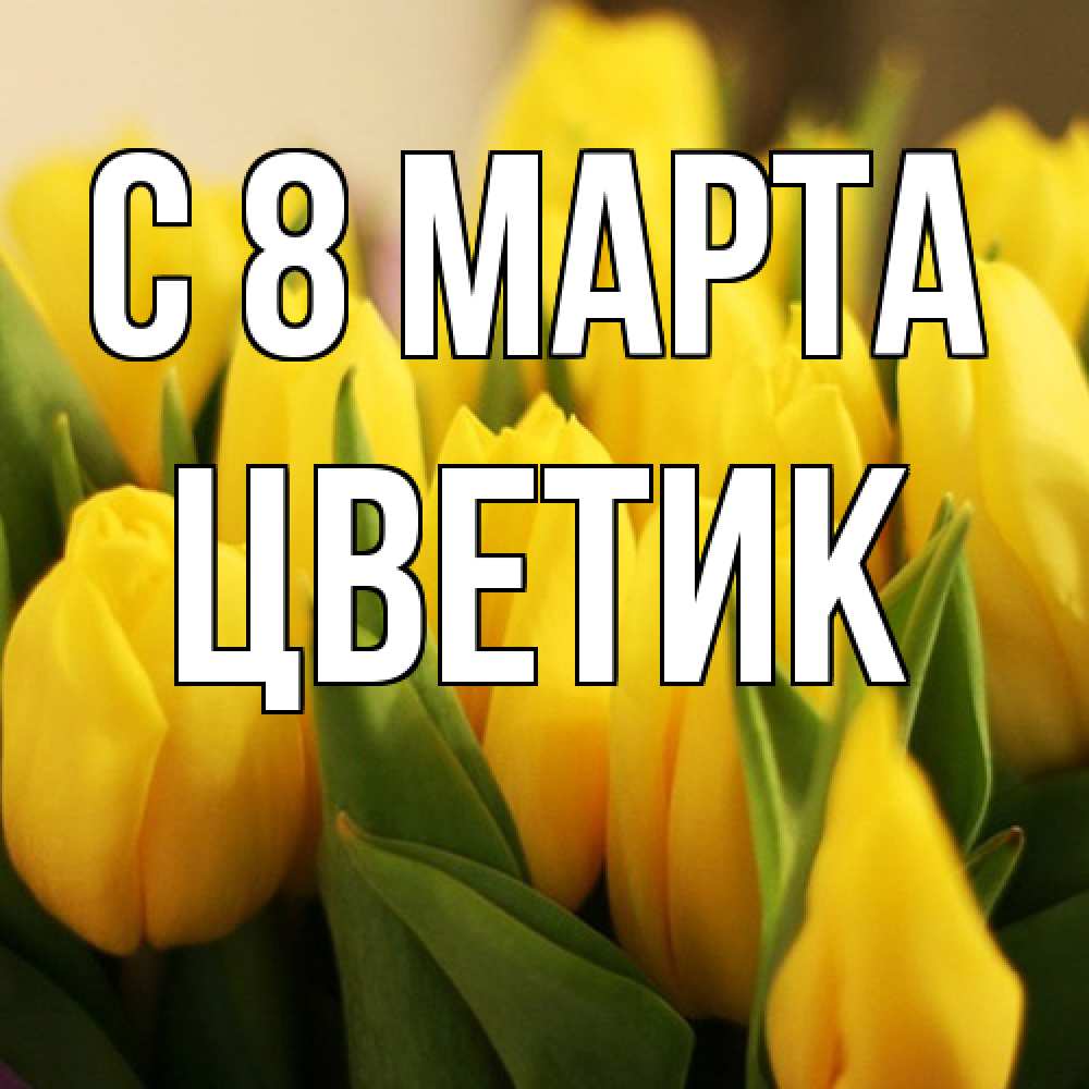 Открытка на каждый день с именем, цветик C 8 МАРТА цветы Прикольная открытка с пожеланием онлайн скачать бесплатно 