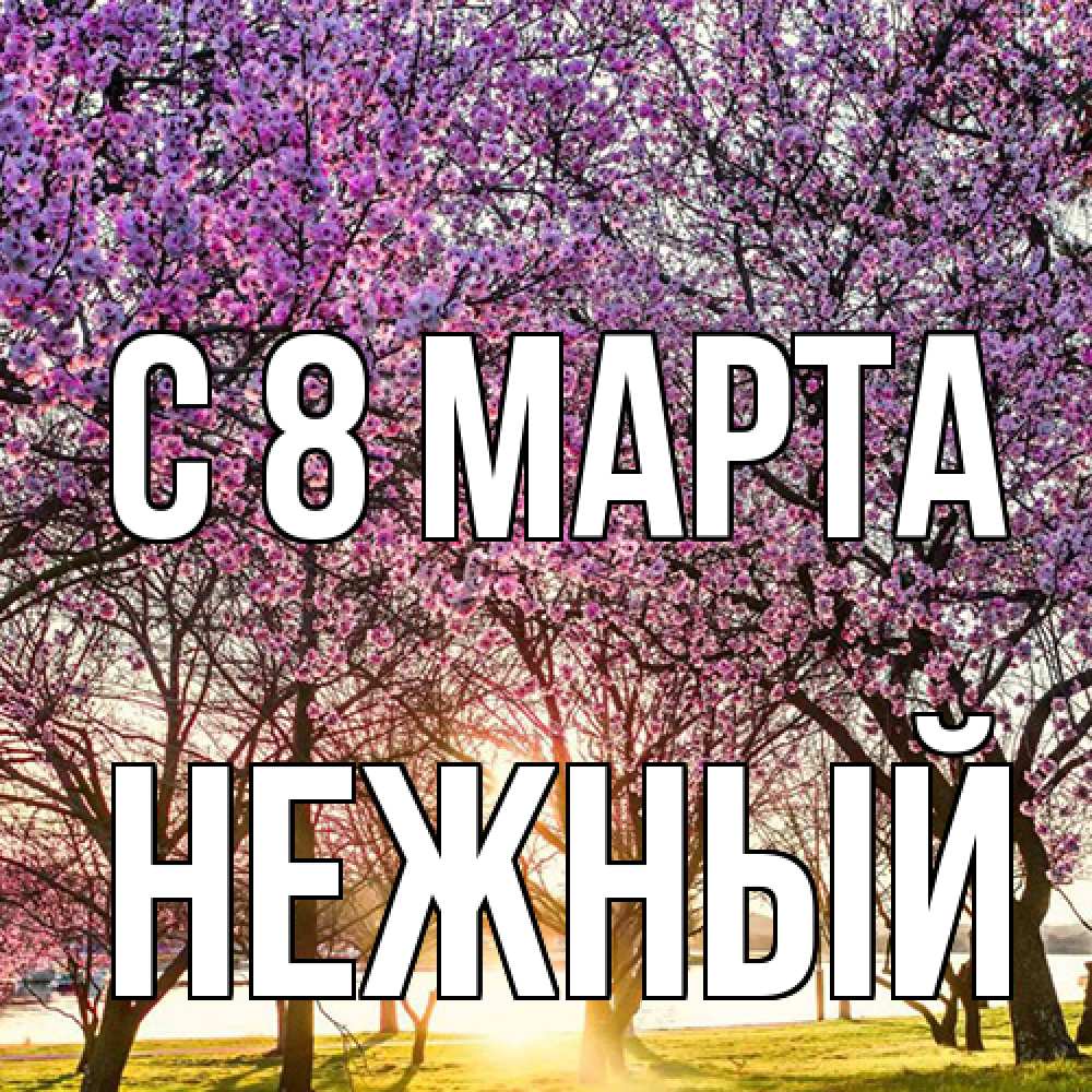 Открытка на каждый день с именем, Нежный C 8 МАРТА международный женский день Прикольная открытка с пожеланием онлайн скачать бесплатно 