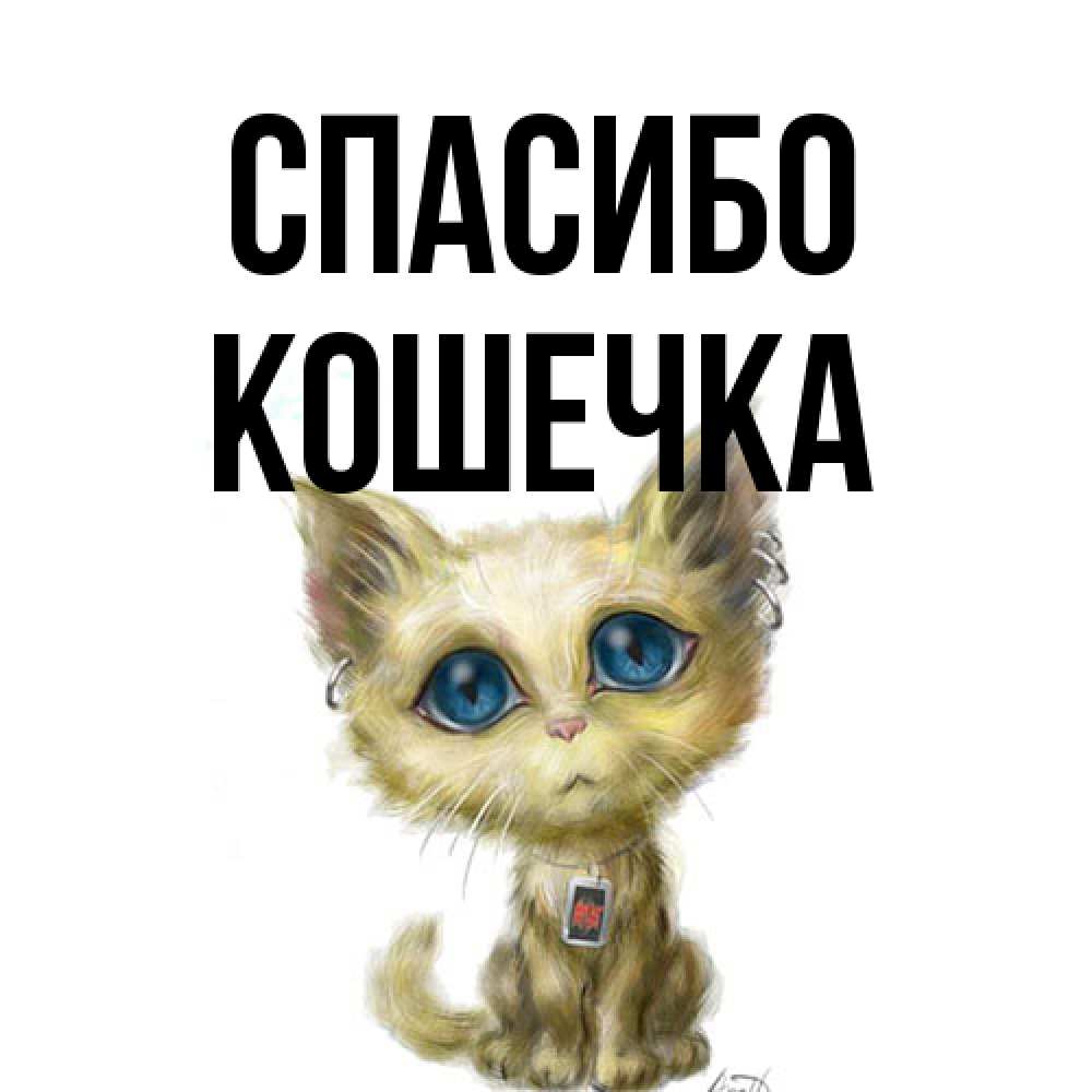 Открытка на каждый день с именем, кошечка Спасибо рисованный кот благодарит вас Прикольная открытка с пожеланием онлайн скачать бесплатно 