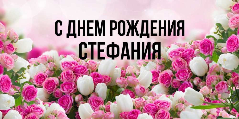 Открытка на каждый день с именем, Стефания С днем рождения открытка с разными розами Прикольная открытка с пожеланием онлайн скачать бесплатно 