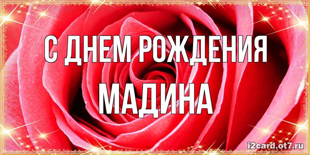 Открытка на каждый день с именем, Мадина С днем рождения розовая роза очень крупный бутон Прикольная открытка с пожеланием онлайн скачать бесплатно 