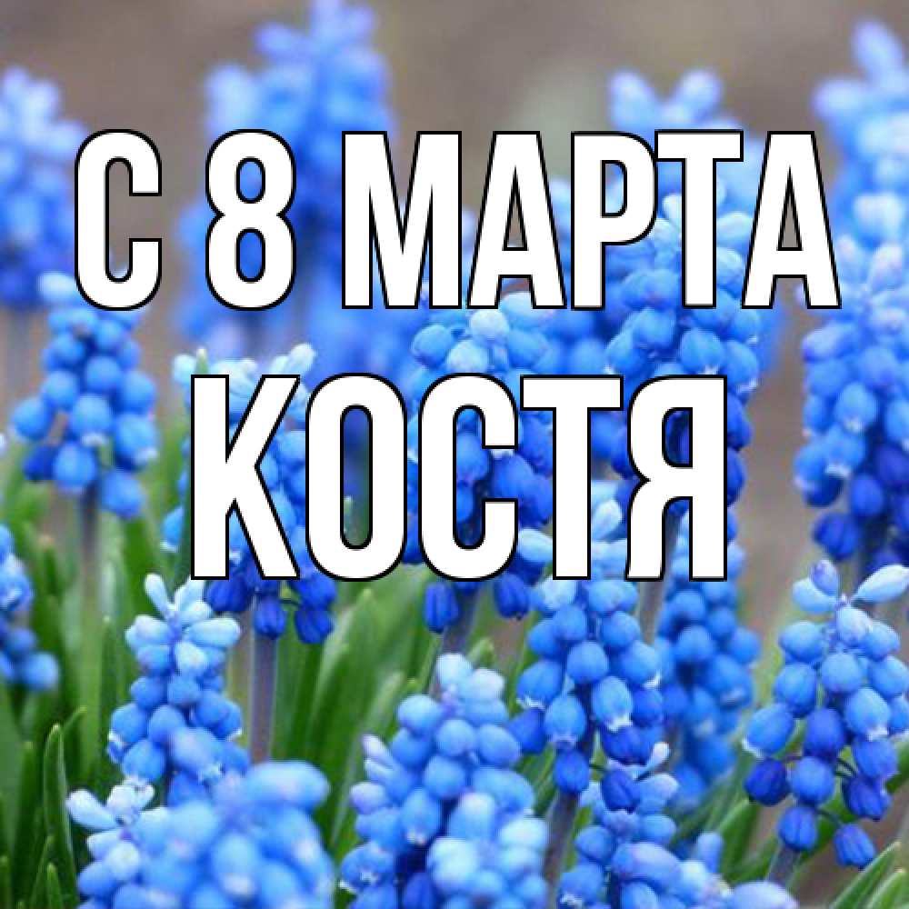 Открытка на каждый день с именем, Костя C 8 МАРТА Поздравительная открытка для женщин с цветами на праздничную дату Прикольная открытка с пожеланием онлайн скачать бесплатно 