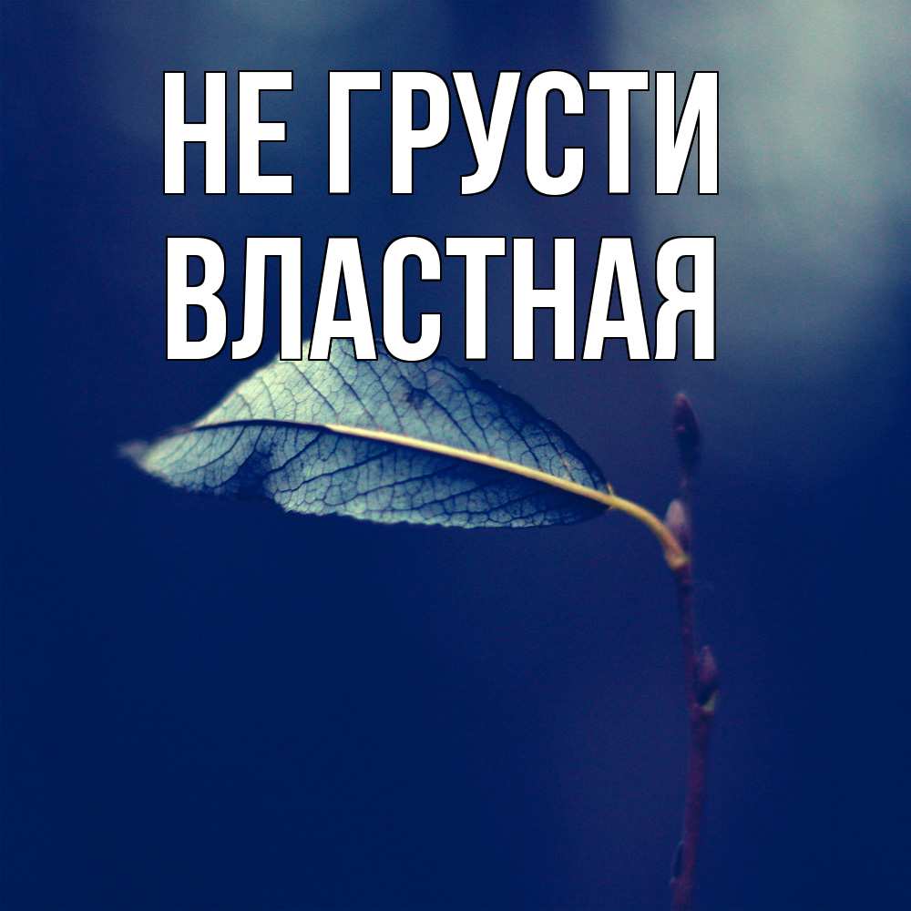 Открытка на каждый день с именем, властная Не грусти растение Прикольная открытка с пожеланием онлайн скачать бесплатно 