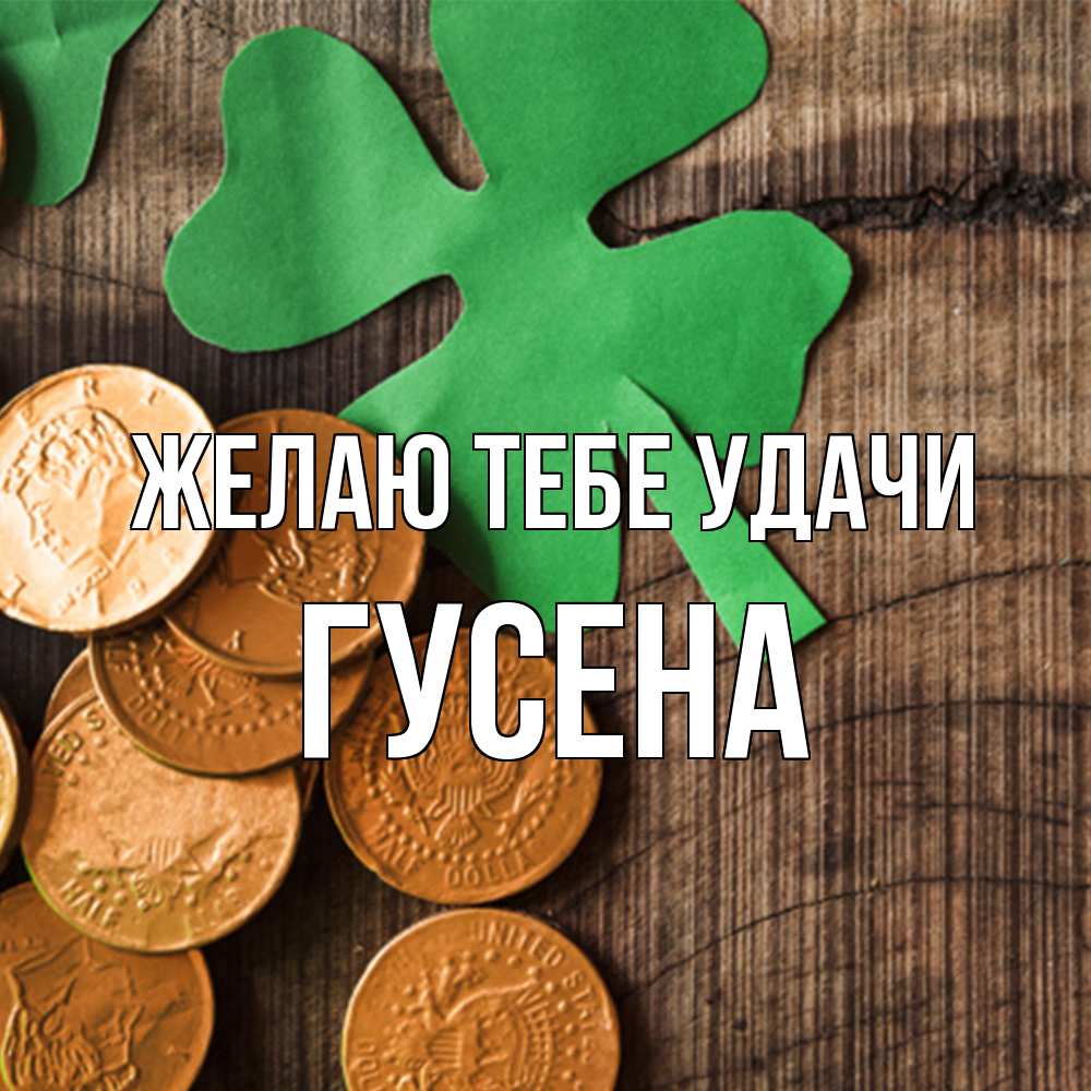 Открытка на каждый день с именем, гусена Желаю тебе удачи деревянный фон Прикольная открытка с пожеланием онлайн скачать бесплатно 