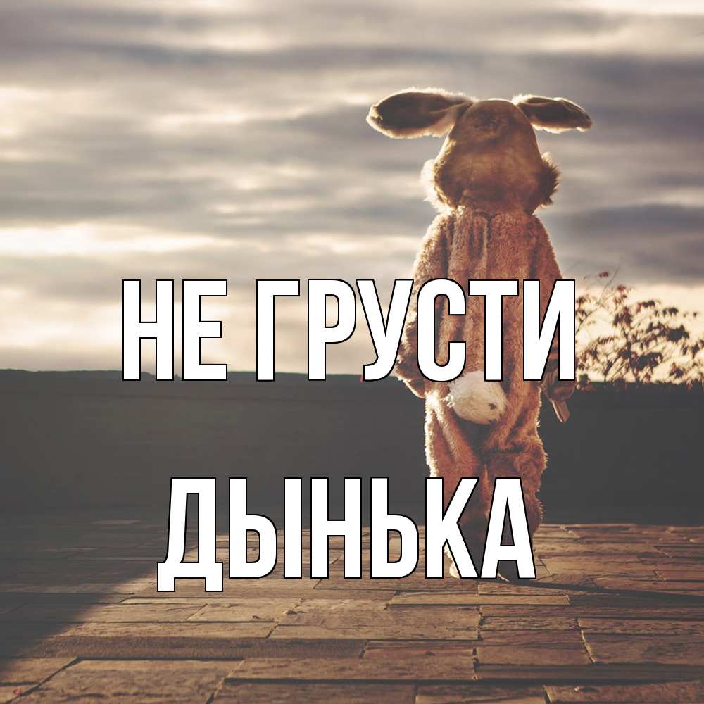 Открытка на каждый день с именем, Дынька Не грусти со спины Прикольная открытка с пожеланием онлайн скачать бесплатно 