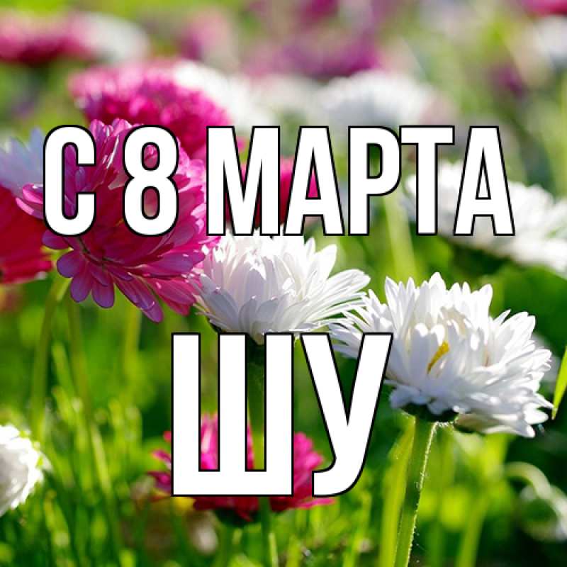 Картинка C 8 МАРТА, Шу