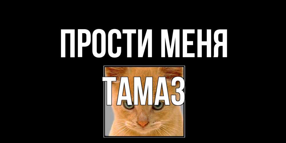 Открытка на каждый день с именем, Тамаз Прости меня рыжий грустный кот просит прощения Прикольная открытка с пожеланием онлайн скачать бесплатно 