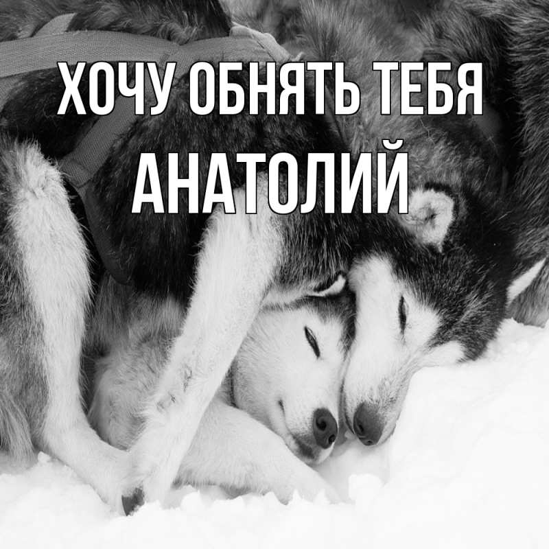 Картинка Хочу обнять тебя, Анатолий