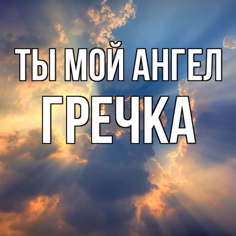 Картинка Ты мой ангел, Гречка