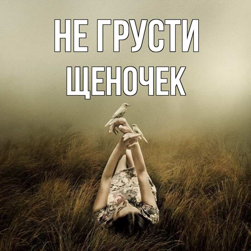 Картинка Не грусти, Щеночек