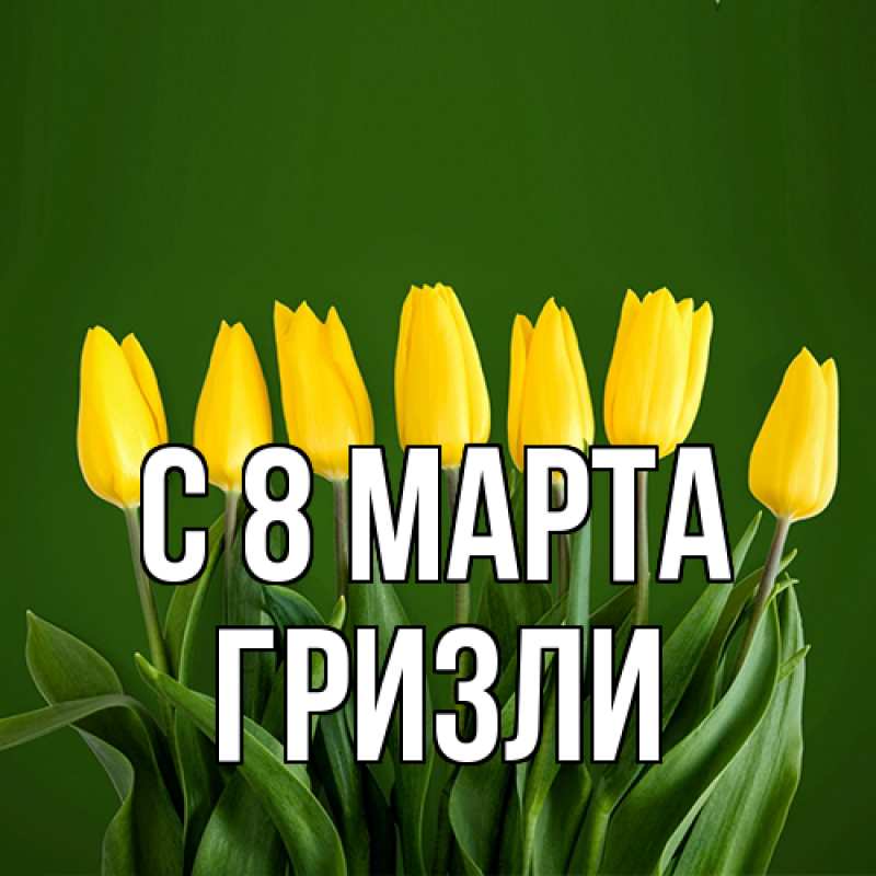 Картинка C 8 МАРТА, Гризли