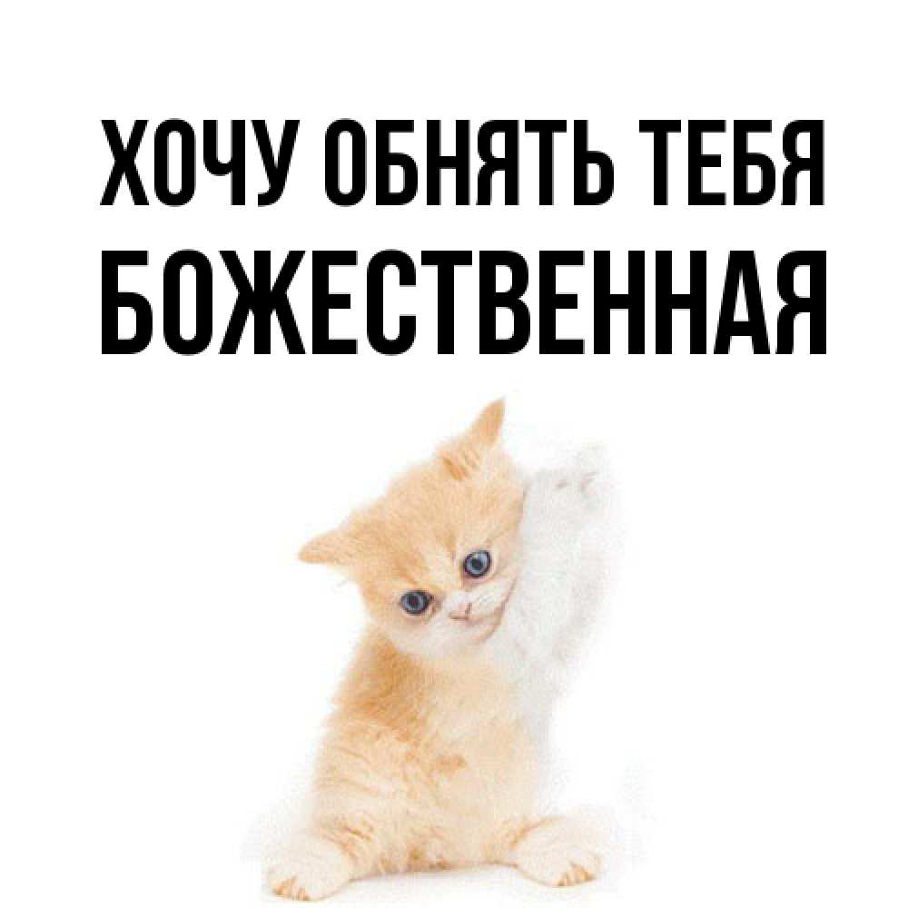 Открытка на каждый день с именем, божественная Хочу обнять тебя я хочу очень скорее обнимаешек Прикольная открытка с пожеланием онлайн скачать бесплатно 