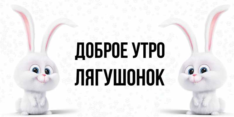 Картинка Доброе утро, лягушонок