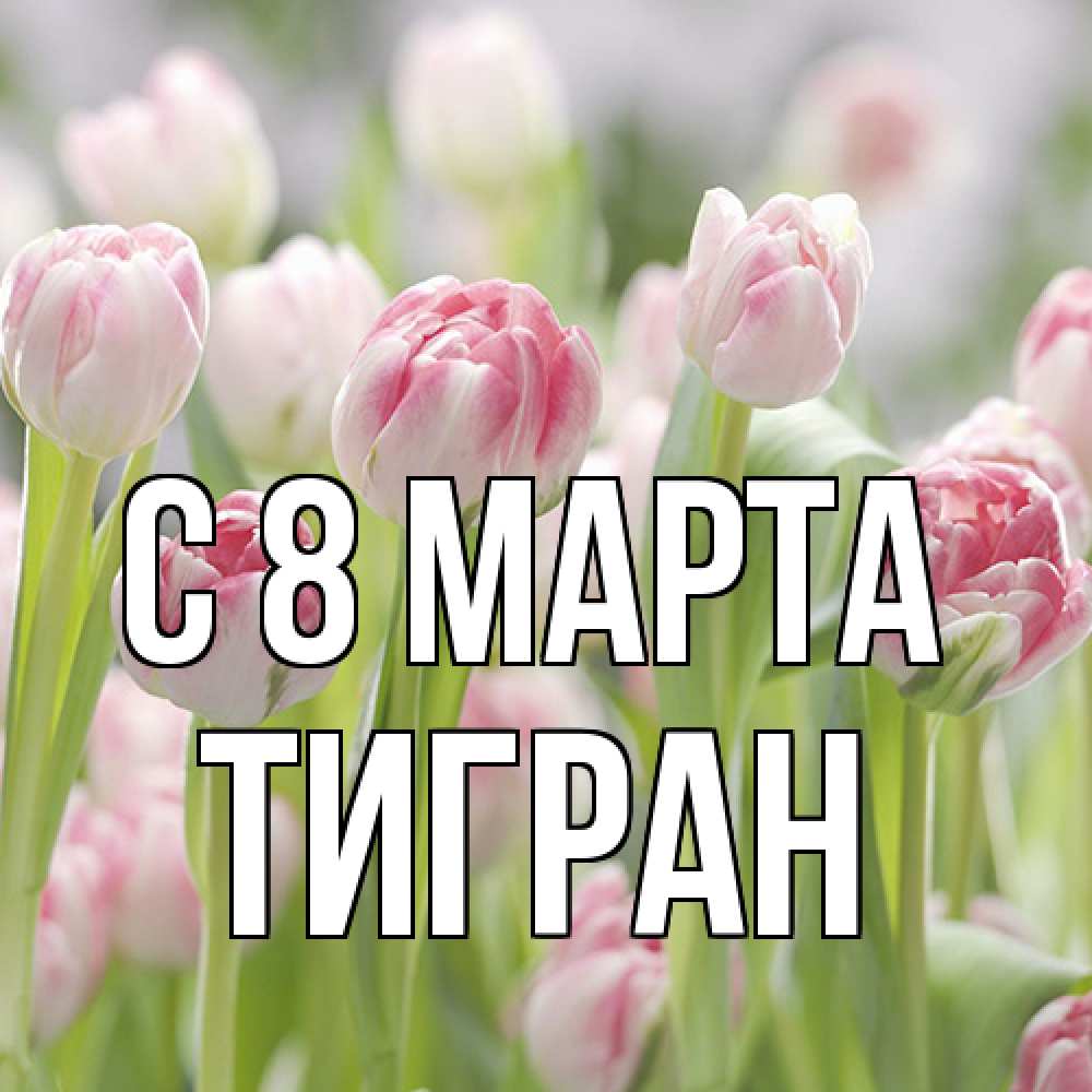 Открытка на каждый день с именем, Тигран C 8 МАРТА цветы Прикольная открытка с пожеланием онлайн скачать бесплатно 