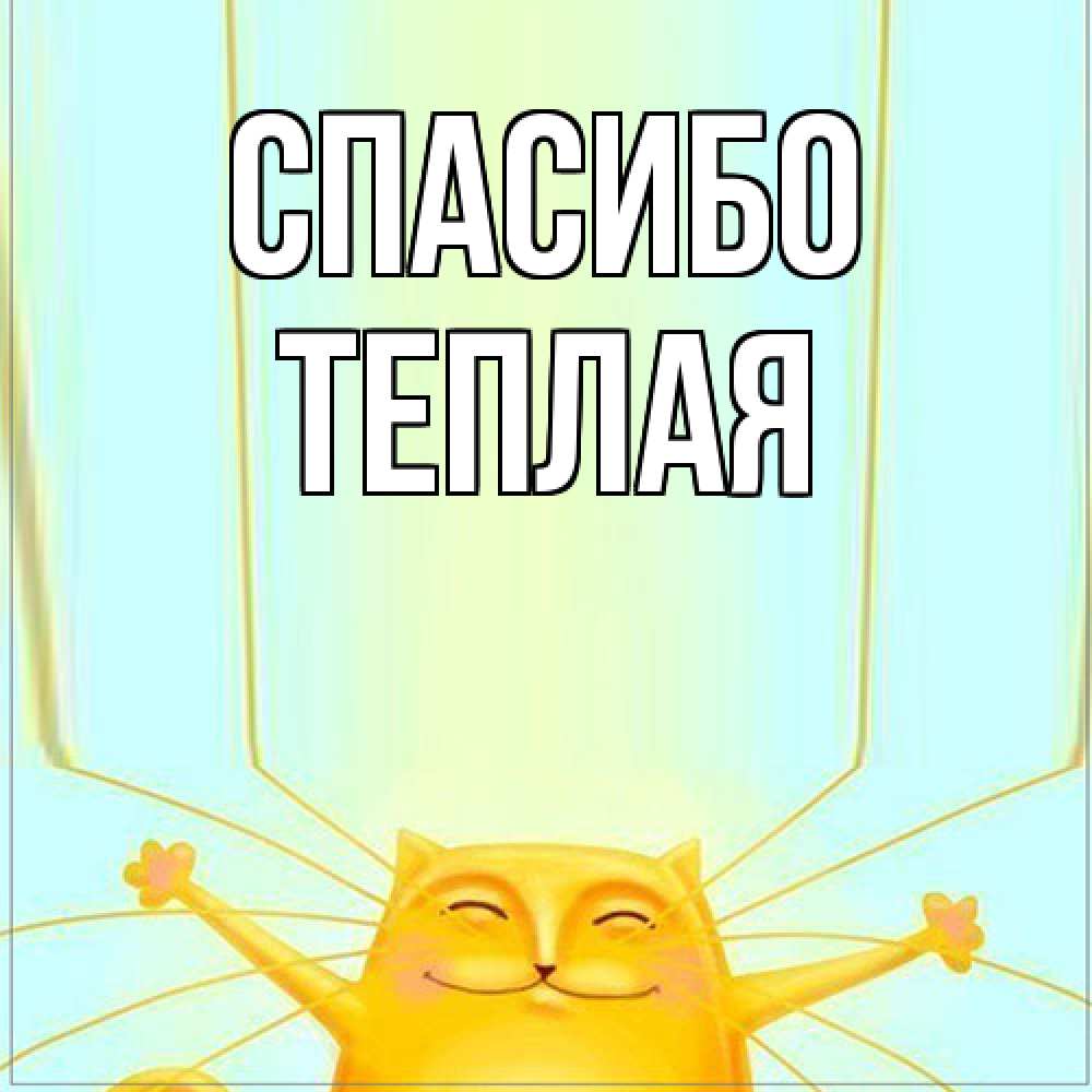 Открытка на каждый день с именем, теплая Спасибо кот с усами благодарит Прикольная открытка с пожеланием онлайн скачать бесплатно 