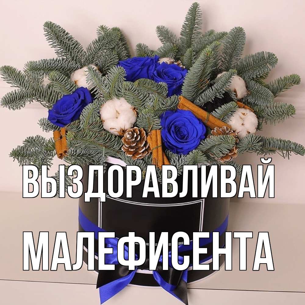 Открытка на каждый день с именем, Малефисента Выздоравливай короче кто то загрузил эти шишки Прикольная открытка с пожеланием онлайн скачать бесплатно 