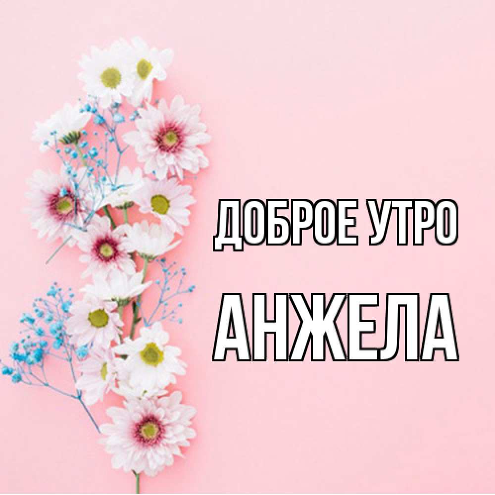 Открытка на каждый день с именем, Анжела Доброе утро цветы с подписью Прикольная открытка с пожеланием онлайн скачать бесплатно 