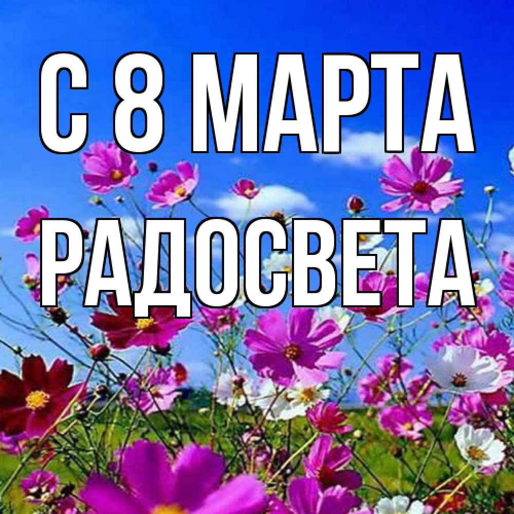 Открытка на каждый день с именем, Радосвета C 8 МАРТА цветы Прикольная открытка с пожеланием онлайн скачать бесплатно 