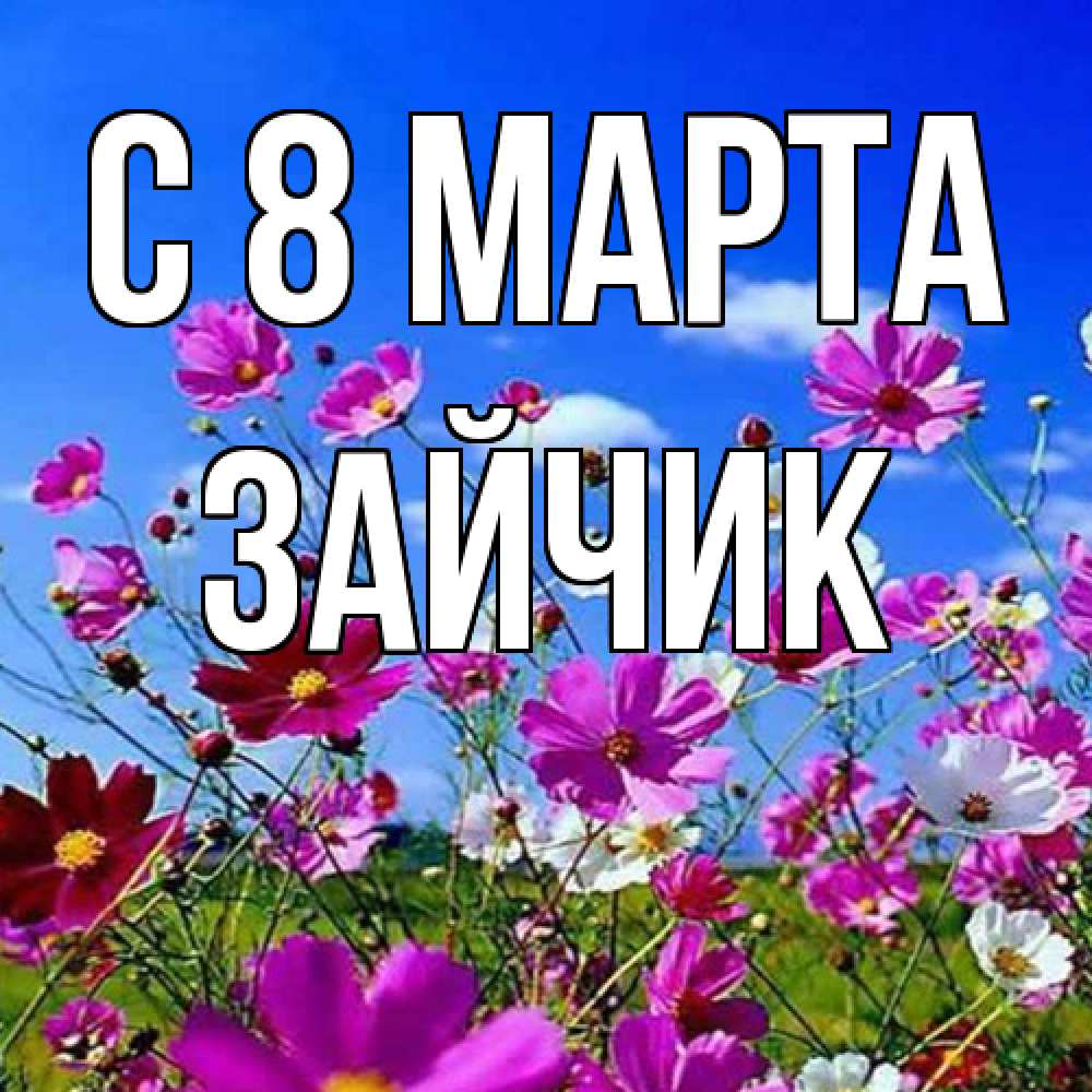 Открытка на каждый день с именем, зайчик C 8 МАРТА цветы Прикольная открытка с пожеланием онлайн скачать бесплатно 