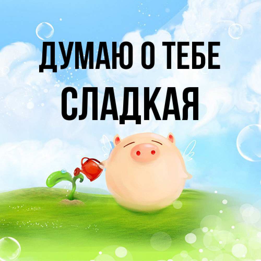 Открытка на каждый день с именем, сладкая Думаю о тебе позитивная свинюшка Прикольная открытка с пожеланием онлайн скачать бесплатно 