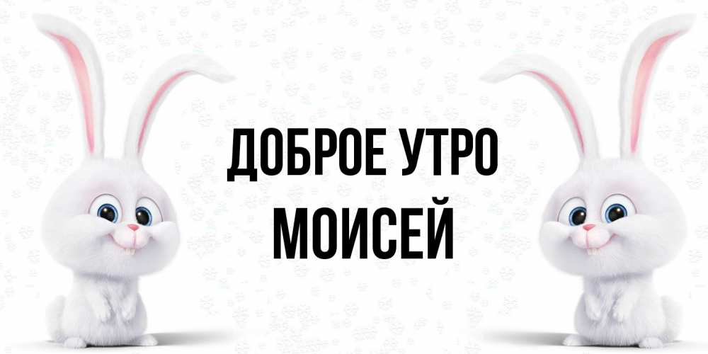 Открытка на каждый день с именем, Моисей Доброе утро кролики с длинными ушками Прикольная открытка с пожеланием онлайн скачать бесплатно 