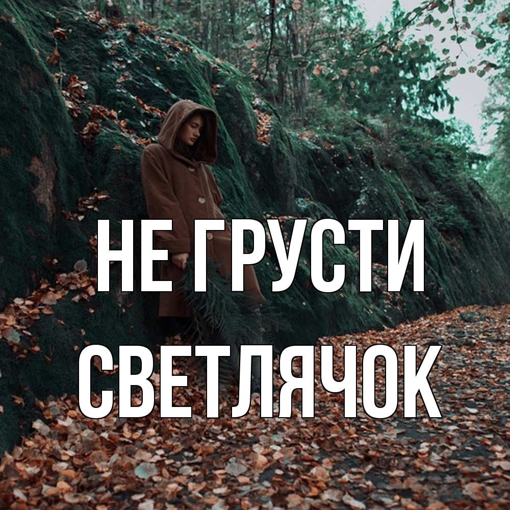 Открытка на каждый день с именем, Светлячок Не грусти осенний лес Прикольная открытка с пожеланием онлайн скачать бесплатно 
