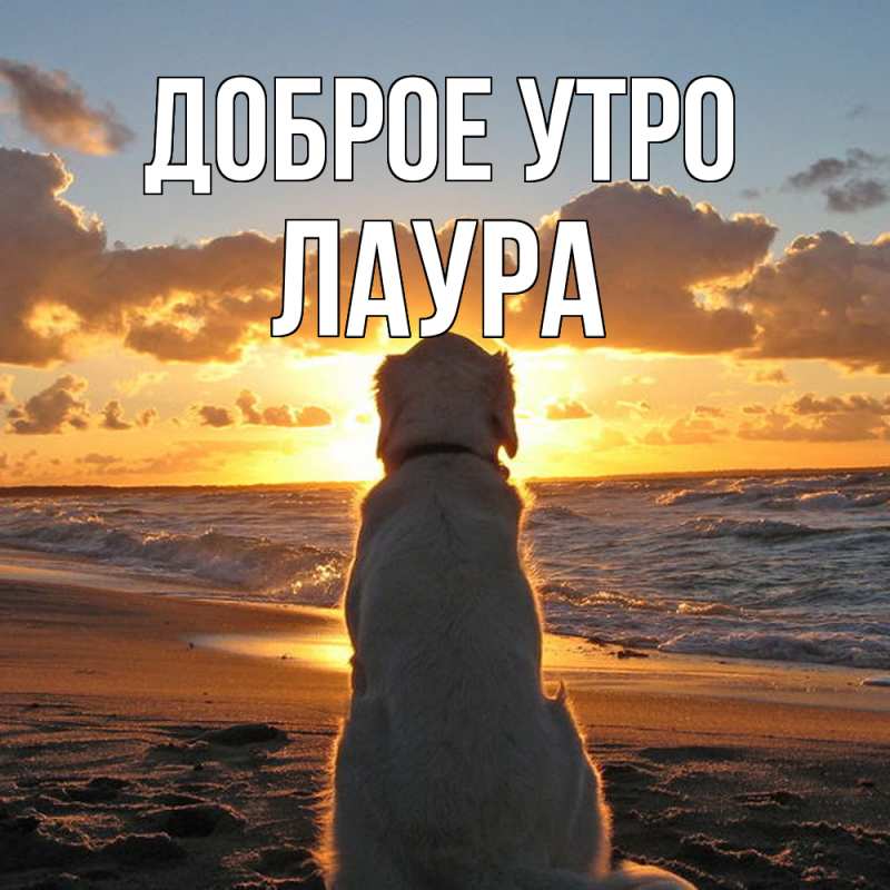 Картинка Доброе утро, Лаура