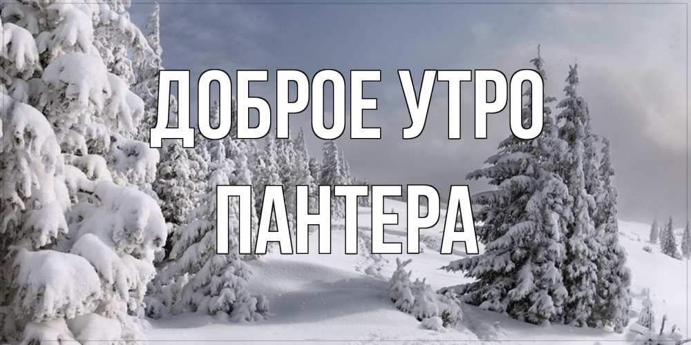 Открытка на каждый день с именем, Пантера Доброе утро пасмурное утро Прикольная открытка с пожеланием онлайн скачать бесплатно 