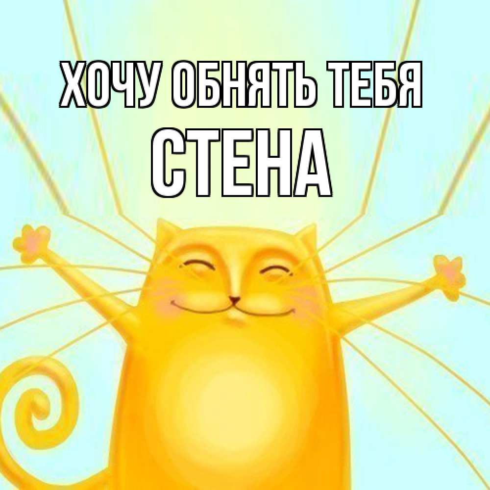 Открытка на каждый день с именем, Стена Хочу обнять тебя солнечный обнимашечный кот Прикольная открытка с пожеланием онлайн скачать бесплатно 