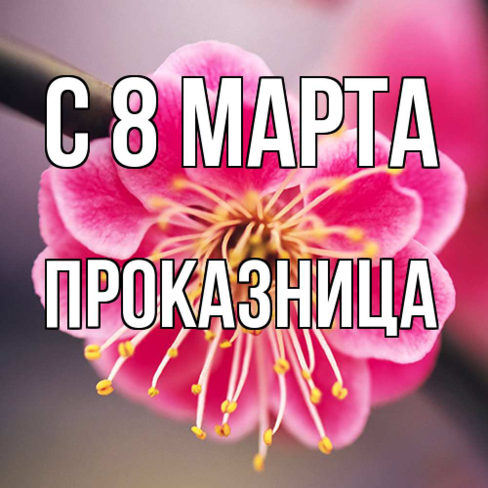 Открытка на каждый день с именем, Проказница C 8 МАРТА цветы Прикольная открытка с пожеланием онлайн скачать бесплатно 