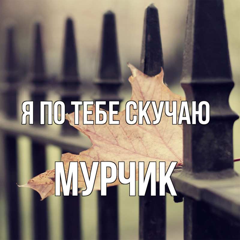 Картинка Я по тебе скучаю, Мурчик