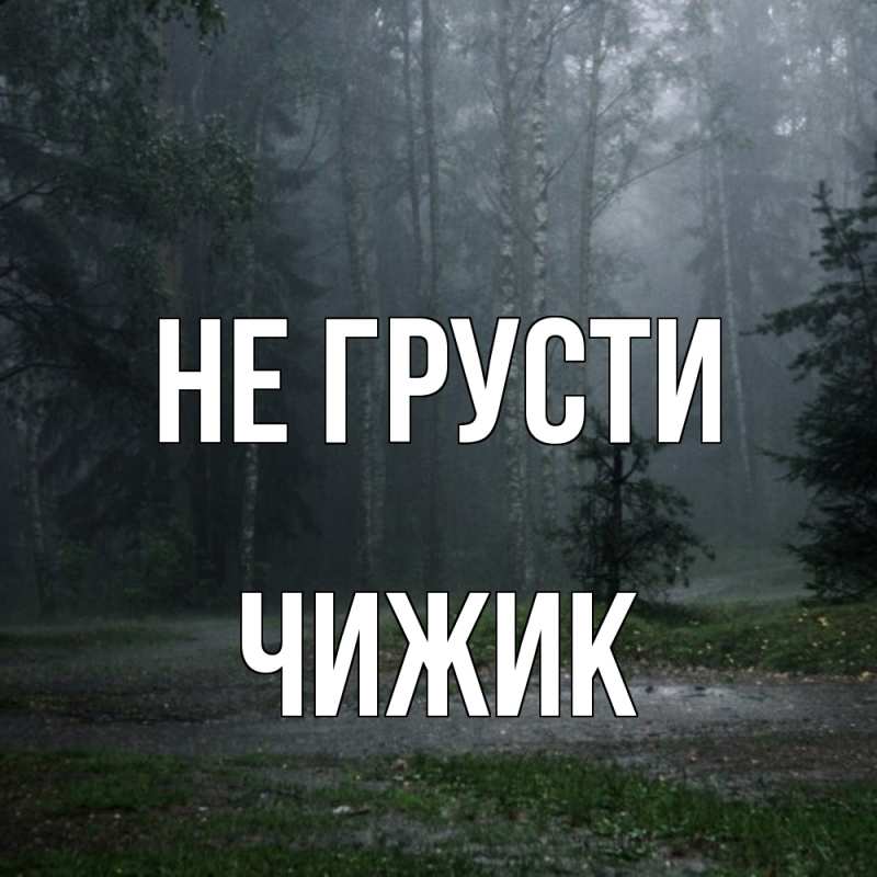 Картинка Не грусти, Чижик
