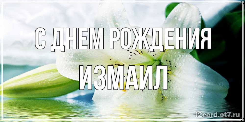 Открытка на каждый день с именем, Измаил С днем рождения лилия на открытке ко дню рождения Прикольная открытка с пожеланием онлайн скачать бесплатно 
